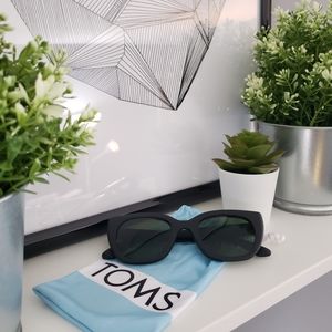 NEW TOMS Sunglasses